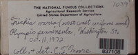 Image Associated With the Occurence